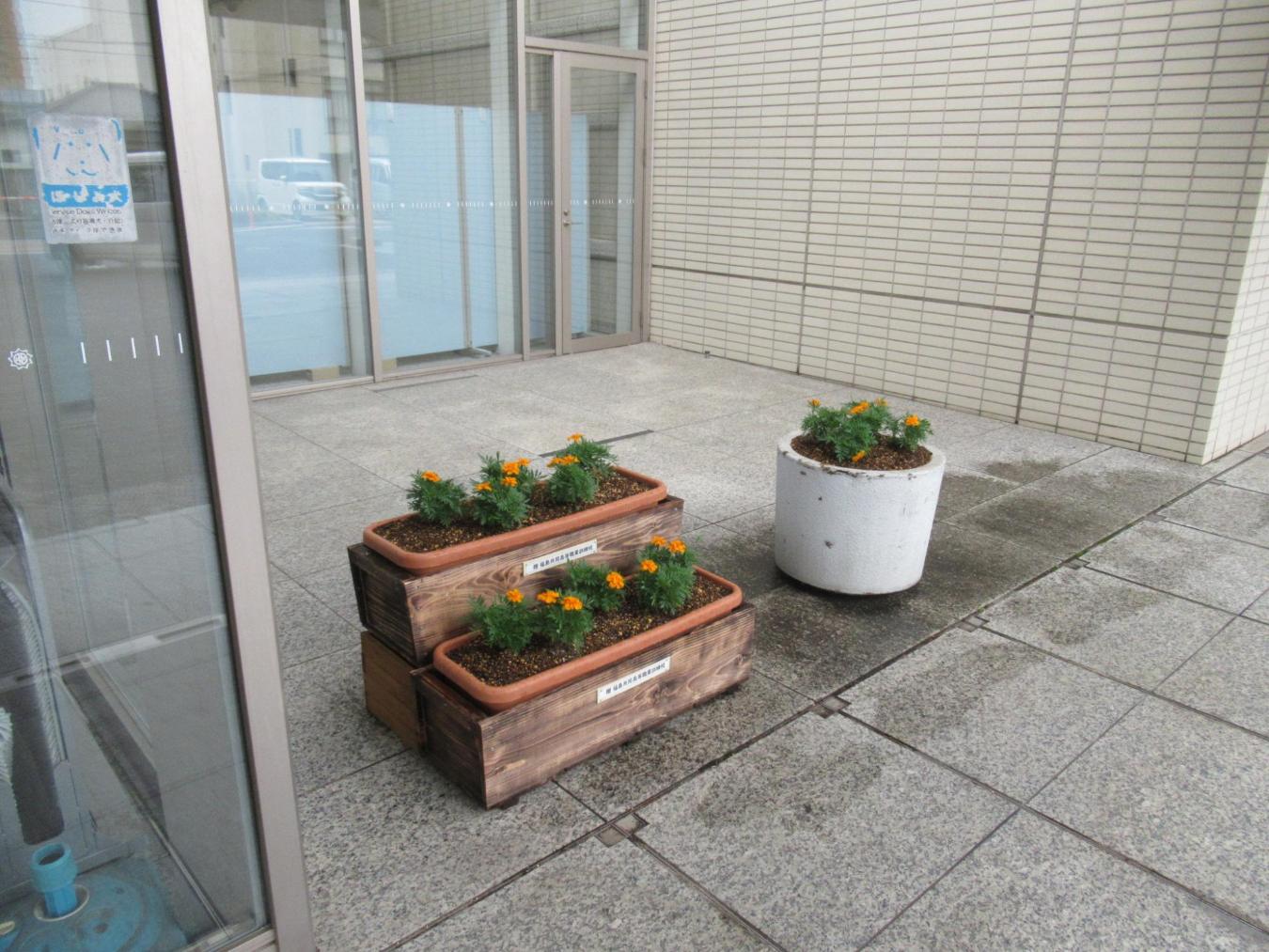 プランターボックスの活用状況1