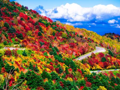 モクモクと広がった雲の手前の山の斜面が黄色や赤色に色づいている秋の風景の写真