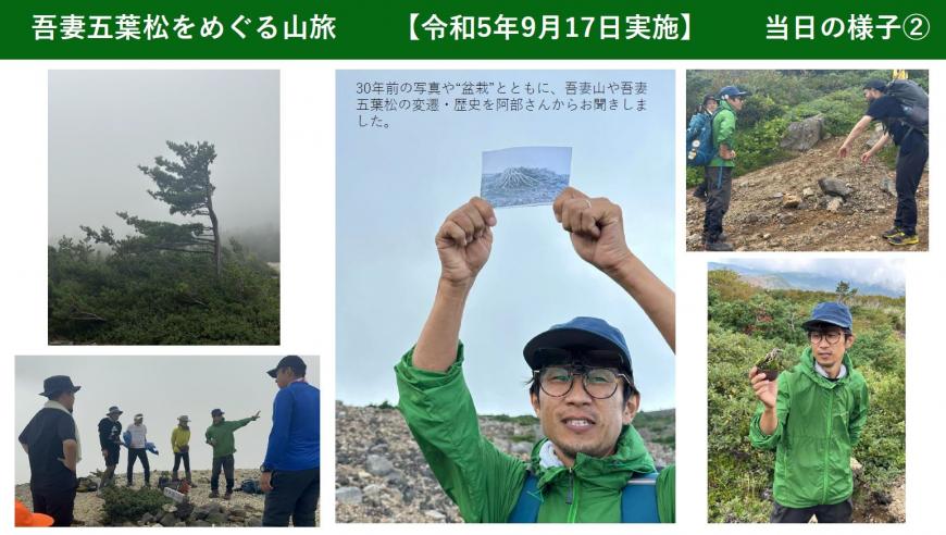 吾妻五葉松をめぐる山旅 リアルツアー3