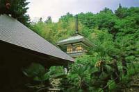鬱蒼と茂った木々に囲まれた場所にある大蔵寺内の小倉寺観音の写真