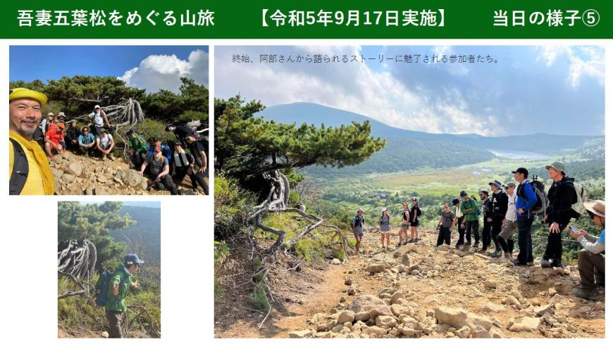 吾妻五葉松をめぐる山旅 リアルツアー6