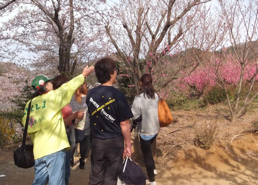 黄色のジャンパーを着たスタッフの女性が、花見山公園に遊びに来られた方々の案内を行っている写真