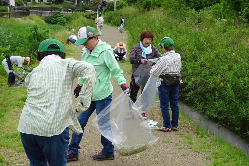 お揃いの緑と白のキャップを被ったスタッフの方々が、ゴミ袋を持って花見山周辺の通路のゴミ拾いや草刈り作業を行っている様子の写真