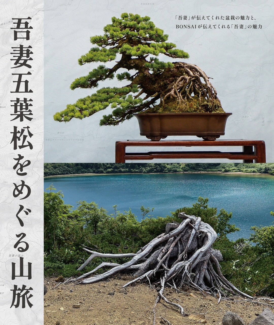 吾妻五葉松を巡る山旅のイメージパース