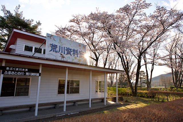 ピンク色の花を咲かせた桜の木が立つ敷地内に「荒川資料室」と書かれた看板が設置された白壁の建物外観の写真