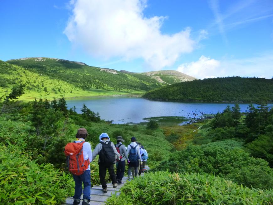 山に囲まれた鎌沼を目指して、木道の階段を歩いている人達の後ろ姿の写真