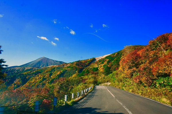 澄んだ青空のした、道沿いの山の木々が黄色や赤色に染まった磐梯吾妻スカイラインの写真