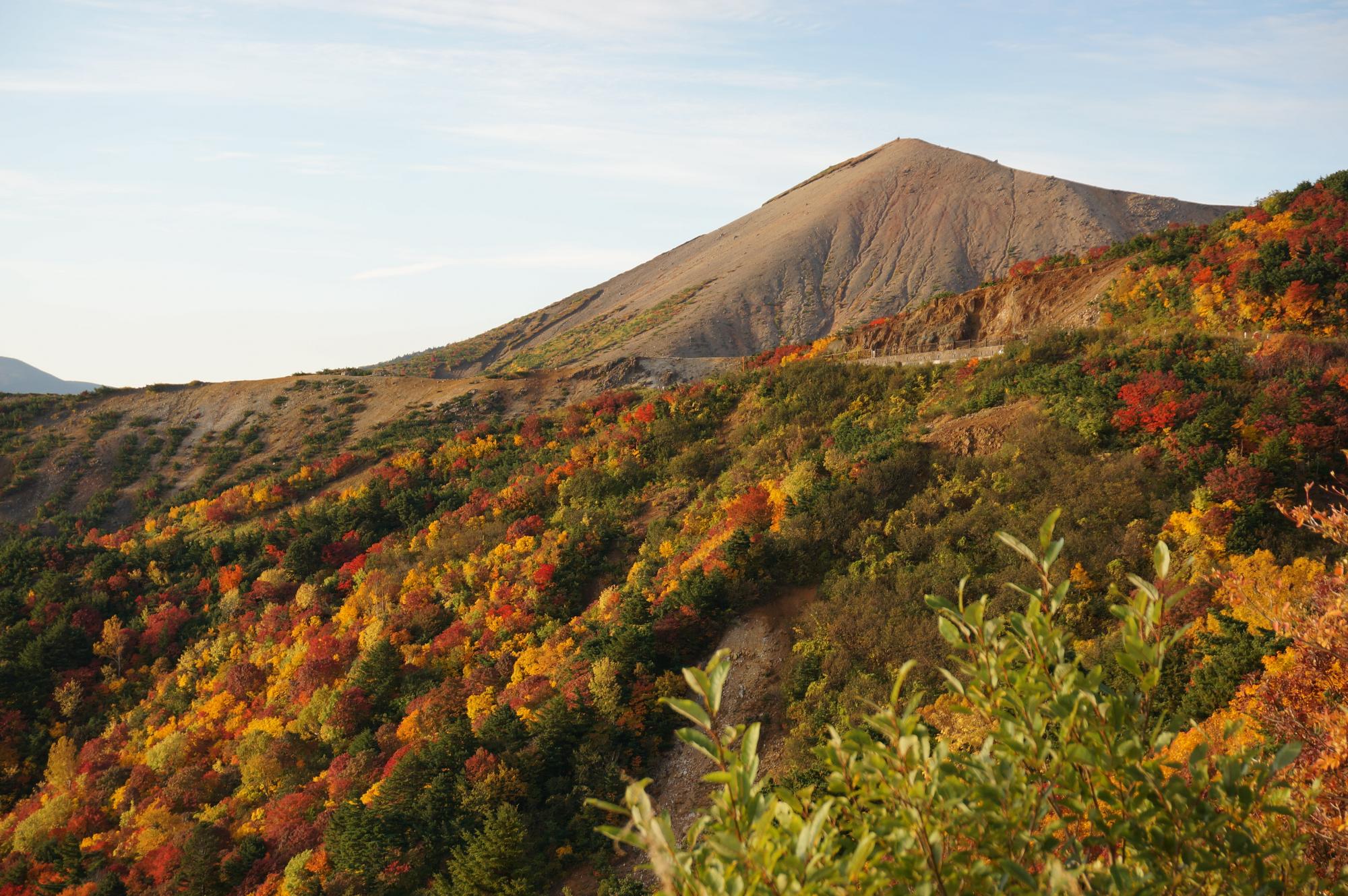 三角山の木々が黄色や朱色に染まった天狗の庭の写真
