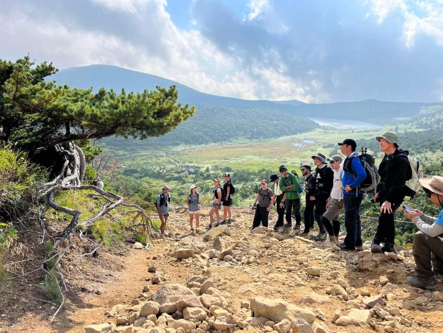 参加者が一列に並び松の木を見ている山旅の様子の写真