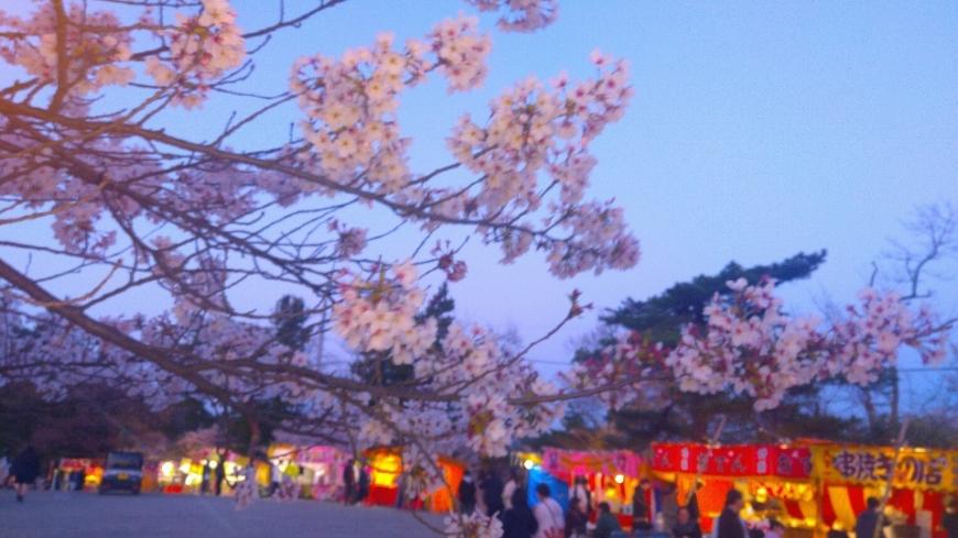 緑の葉がなく満開の桜の枝と奥に屋台が並んでいる公園内の写真
