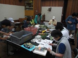 机の上に植物を置いて資料で調べている講座の参加者の写真
