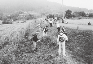 畑の横の土手で草刈りをしている人たちの白黒写真