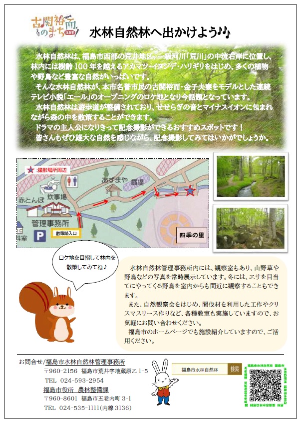 水林自然林広報チラシ