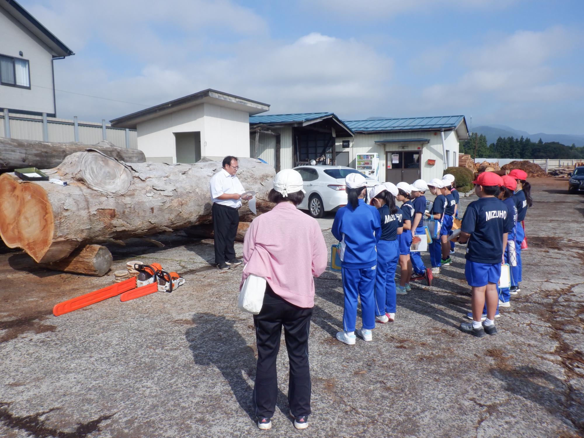 木材市場でせり競り体験をしている子どもたちの写真