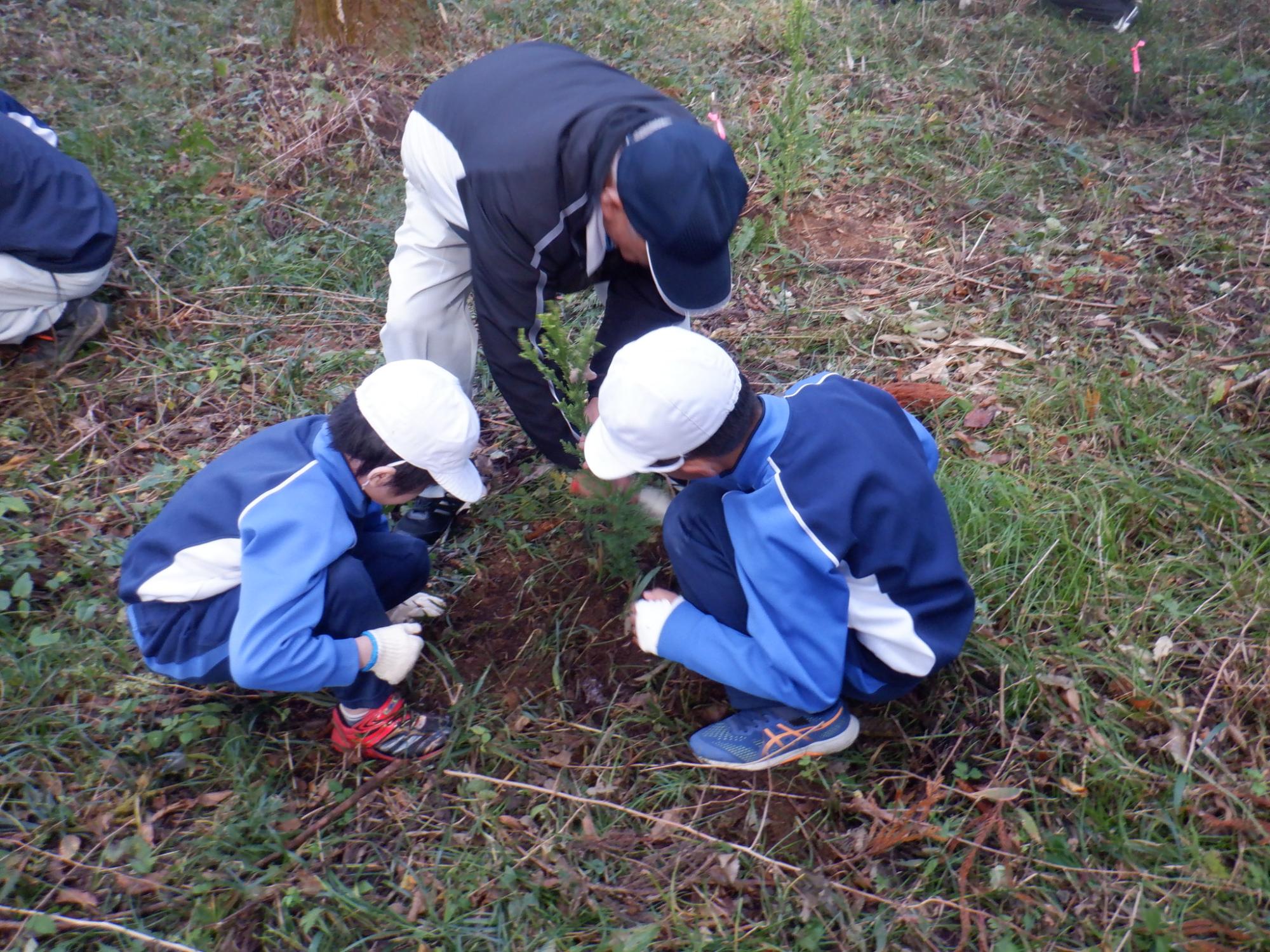一人の男性と子ども二人が木の苗を植えて土をかけている写真