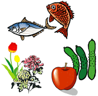 魚、キュウリ、リンゴ、花のイラスト