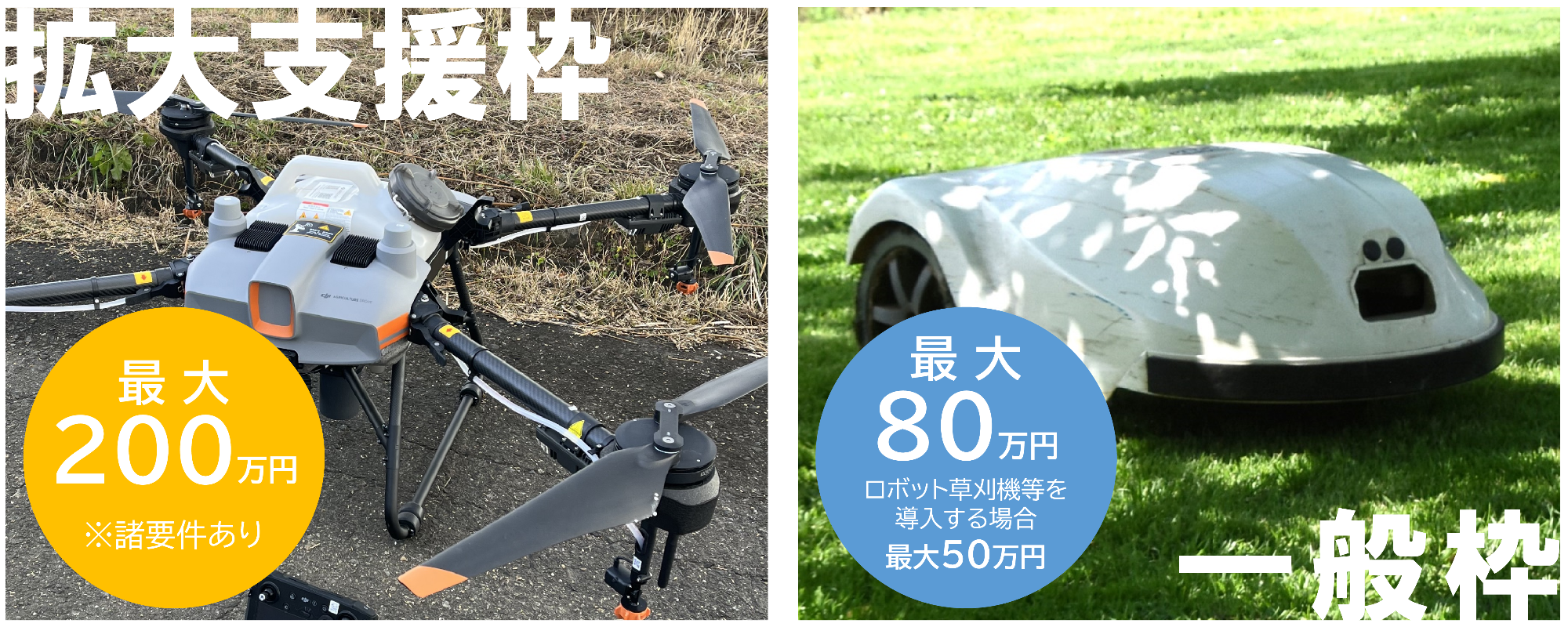 (1)拡大支援枠　(2)一般枠