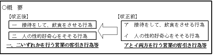 改正の概要説明の図