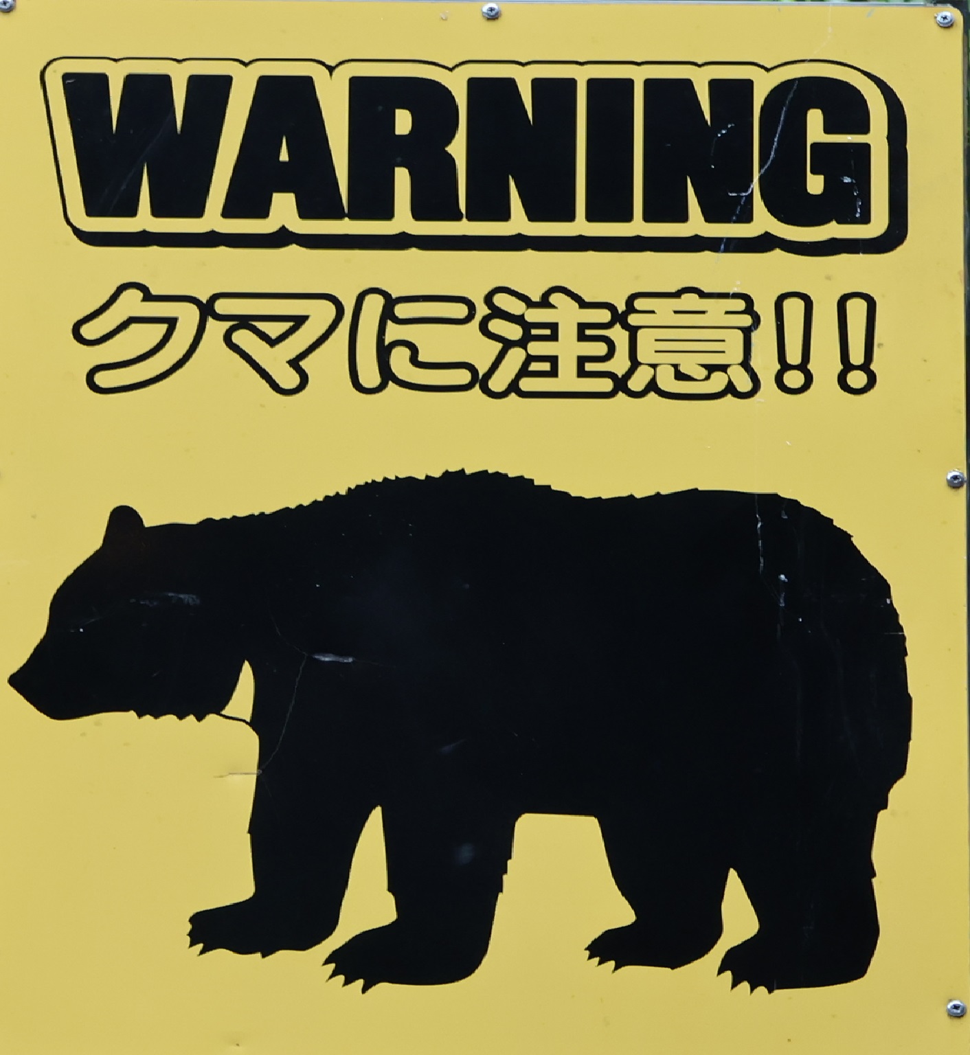 クマ注意