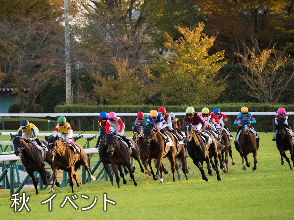 緑色の芝生の馬場を馬に乗ったジョッキーの方々が競争している様子の写真