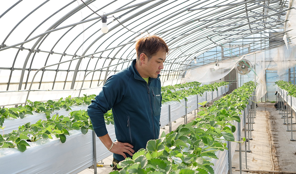 腰に手をあて育てた野菜を見ている様子の片平さんの写真