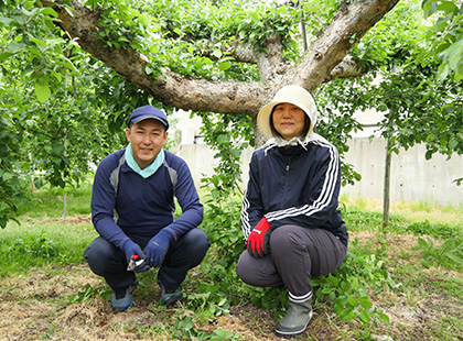木の下に座っている菊地さん夫婦の写真（福島市観光ノートのサイトへリンク）