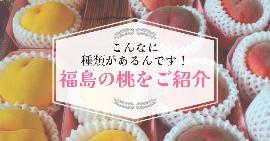 福島市の種類豊富な桃を紹介