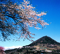 枝に沢山の桜の花が咲き誇り、背景には青空と小高い丘が写っている写真（福島市の文化財 -名勝 2件-のページへリンク）