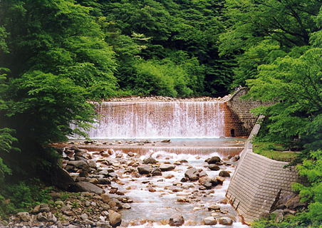 周囲に沢山の木々が生えている中に築かれた川上第一堰堤の写真