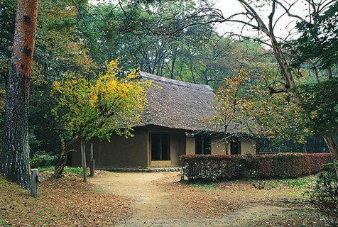 周りを木々に囲まれ、大きな茅葺屋根で平屋建ての旧菅野家住宅の外観写真