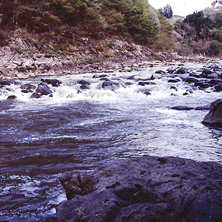 川幅が広く、川の中にある岩にあたった水が水しぶきを上げている阿武隈峡の写真