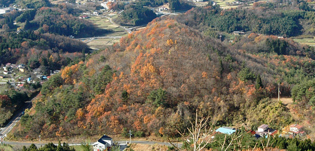 周りに田畑や住宅がある中に小高い丘がある一貫森の写真