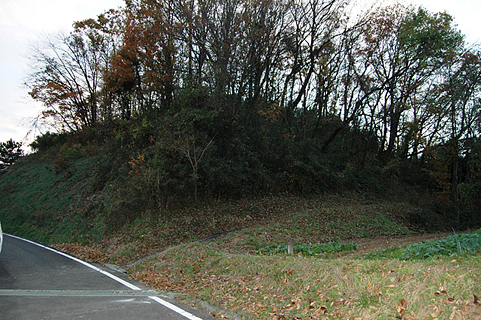 左側の道路のすぐ横にある小高く土が盛り上がり沢山の木々が生えている苅松田城跡の写真