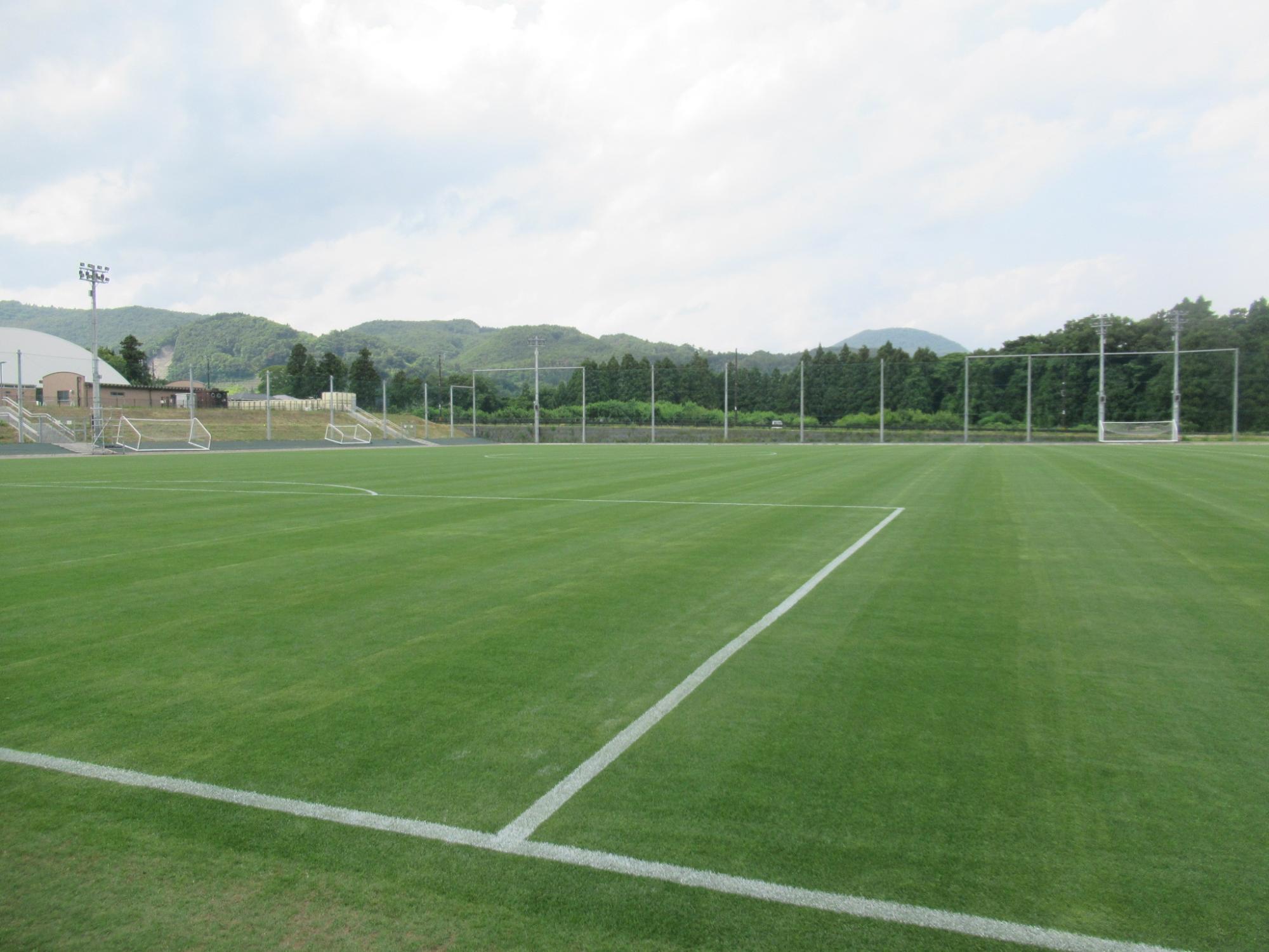 整備された芝生に白いラインが引かれているサッカー場の写真