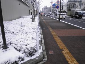 左側の街路樹の植え込みには雪が積もっており、右側の歩道には雪が積もっておらず道路の表面が見えている写真