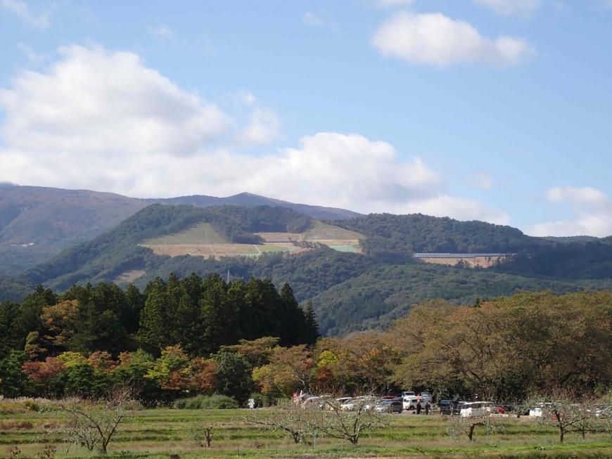 青い空に浮かぶ複数の白い雲、手前には数本の木が立ち並び、その奥に先達山が写っている写真