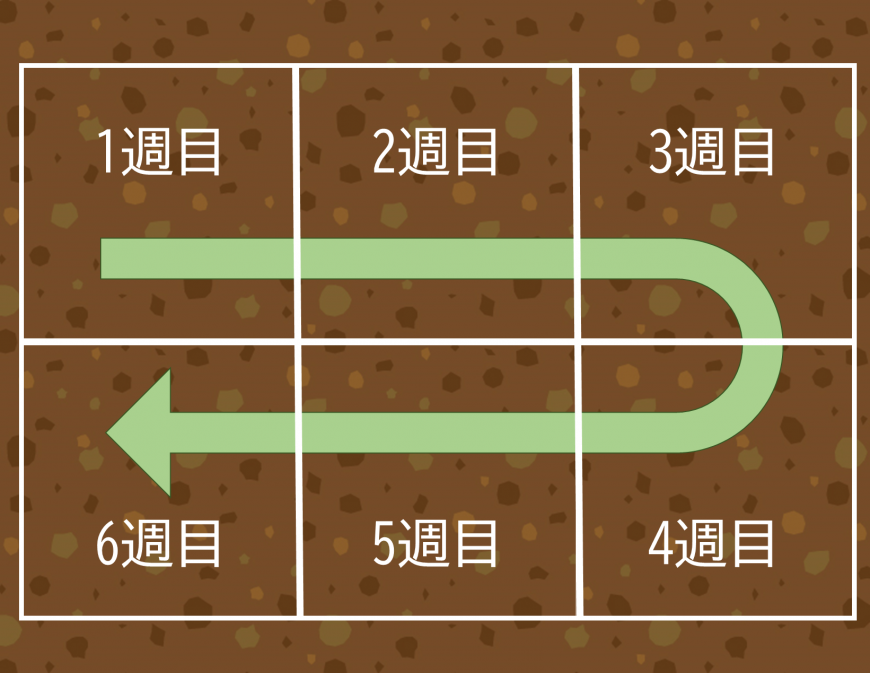 1週目から6週目の場所が上下で仕切られ、上段左「1週目」から右矢印で下段「4週名」から左へ流れる方向を矢印で指めしたローテーションの図