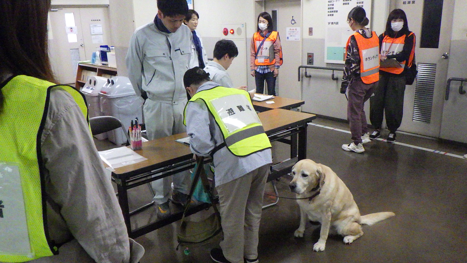 ペット同伴避難の訓練