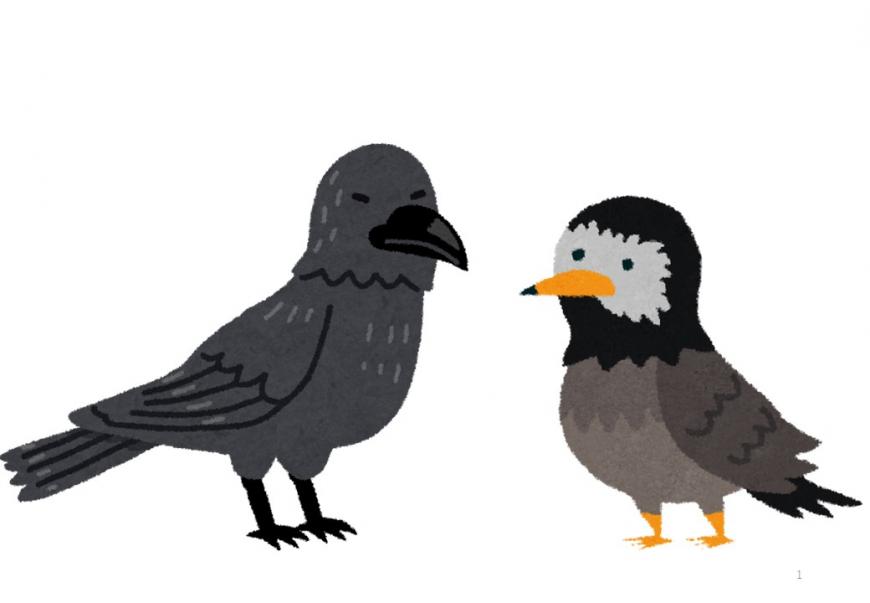 カラスとムクドリのイラスト