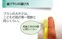 歯ブラシの選び方