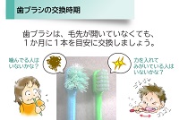 歯ブラシの交換時期