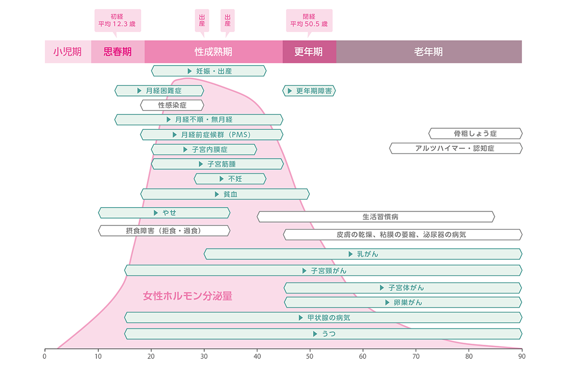 女性のライフステージ