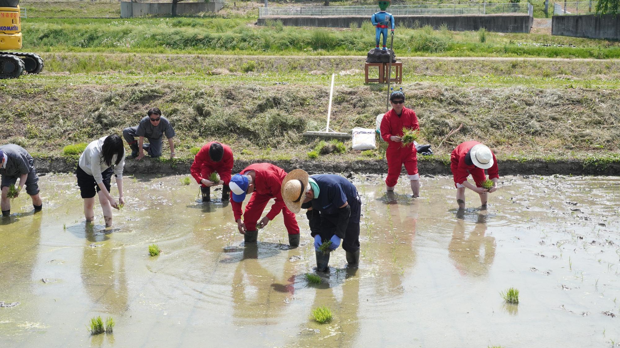 田植えの画像正面