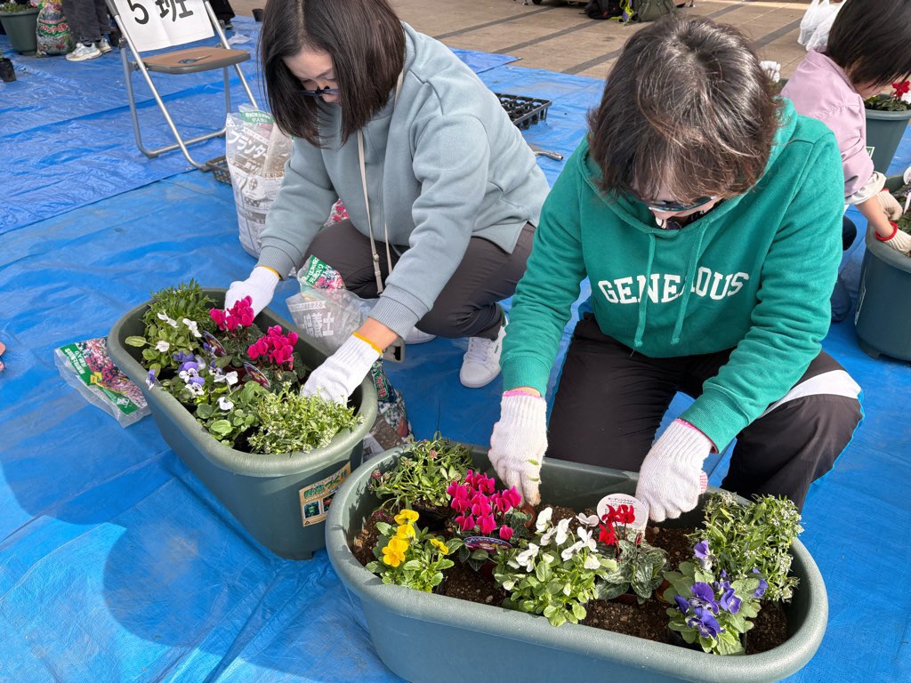 花をプランターに植栽している様子