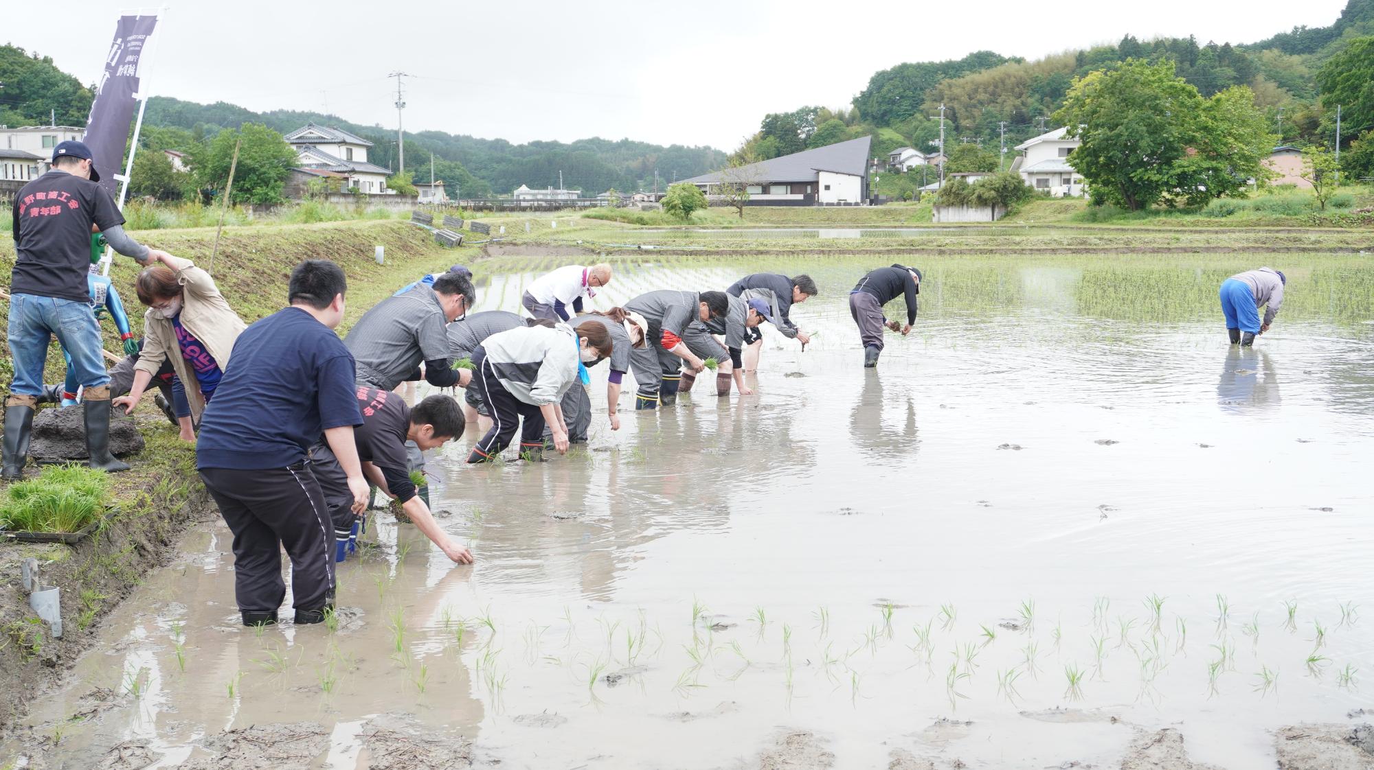 田植え写真2
