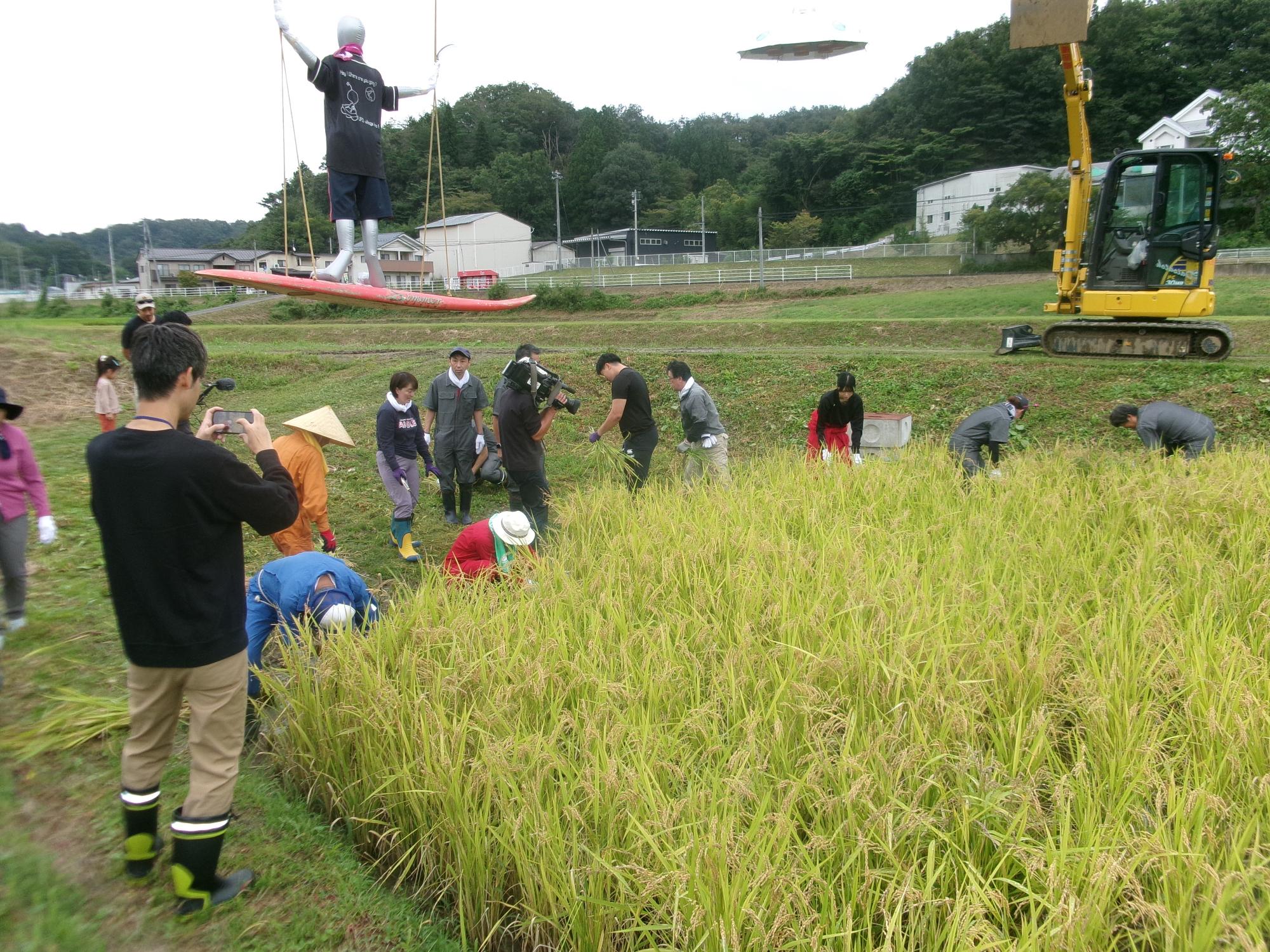 稲刈り横からの写真