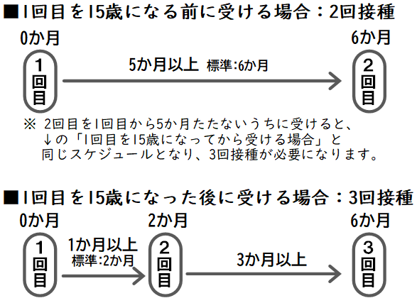 HPVワクチン接種スケジュール