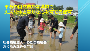 平石の自然豊かな環境で、丈夫な体と豊かな心を育てる保育の表紙