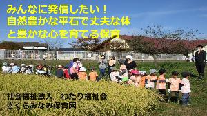 「みんなに発信したい！自然豊かな平石で丈夫な体と豊かな心を育てる保育（令和5年度）」の表紙