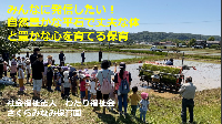 「みんなに発信したい！自然豊かな平石で丈夫な体と豊かな心を育てる保育（令和6年度）」の表紙